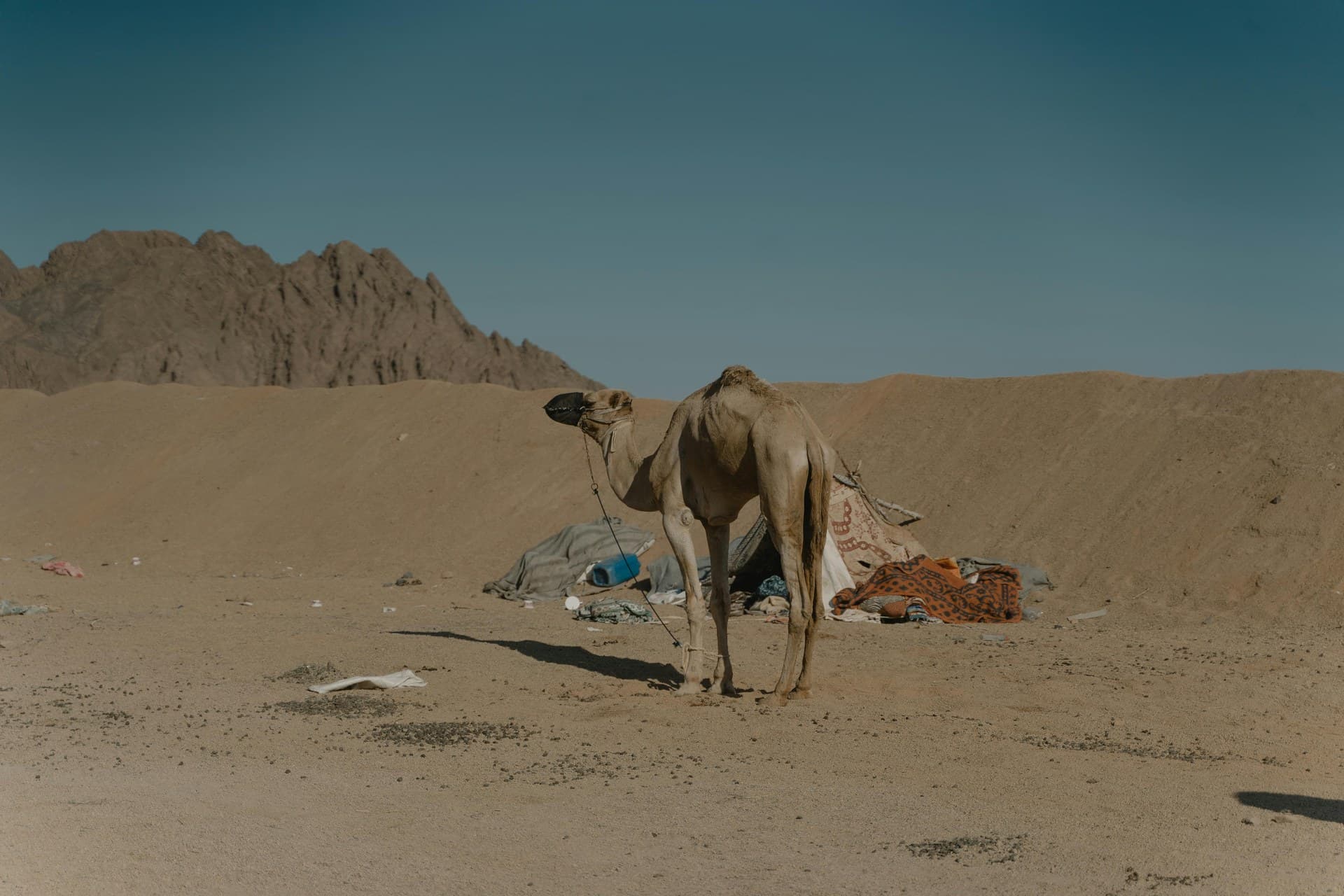 Dahab — view 7