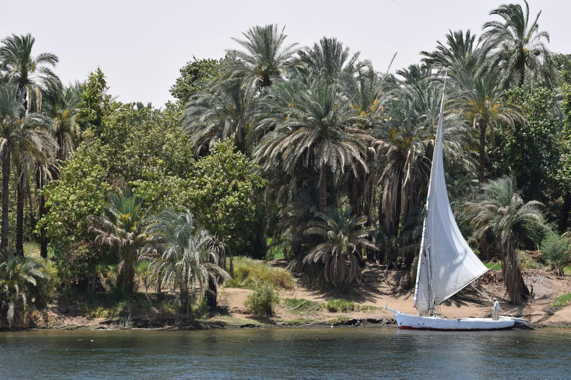 Felucca Sailing on the Nile — view 7