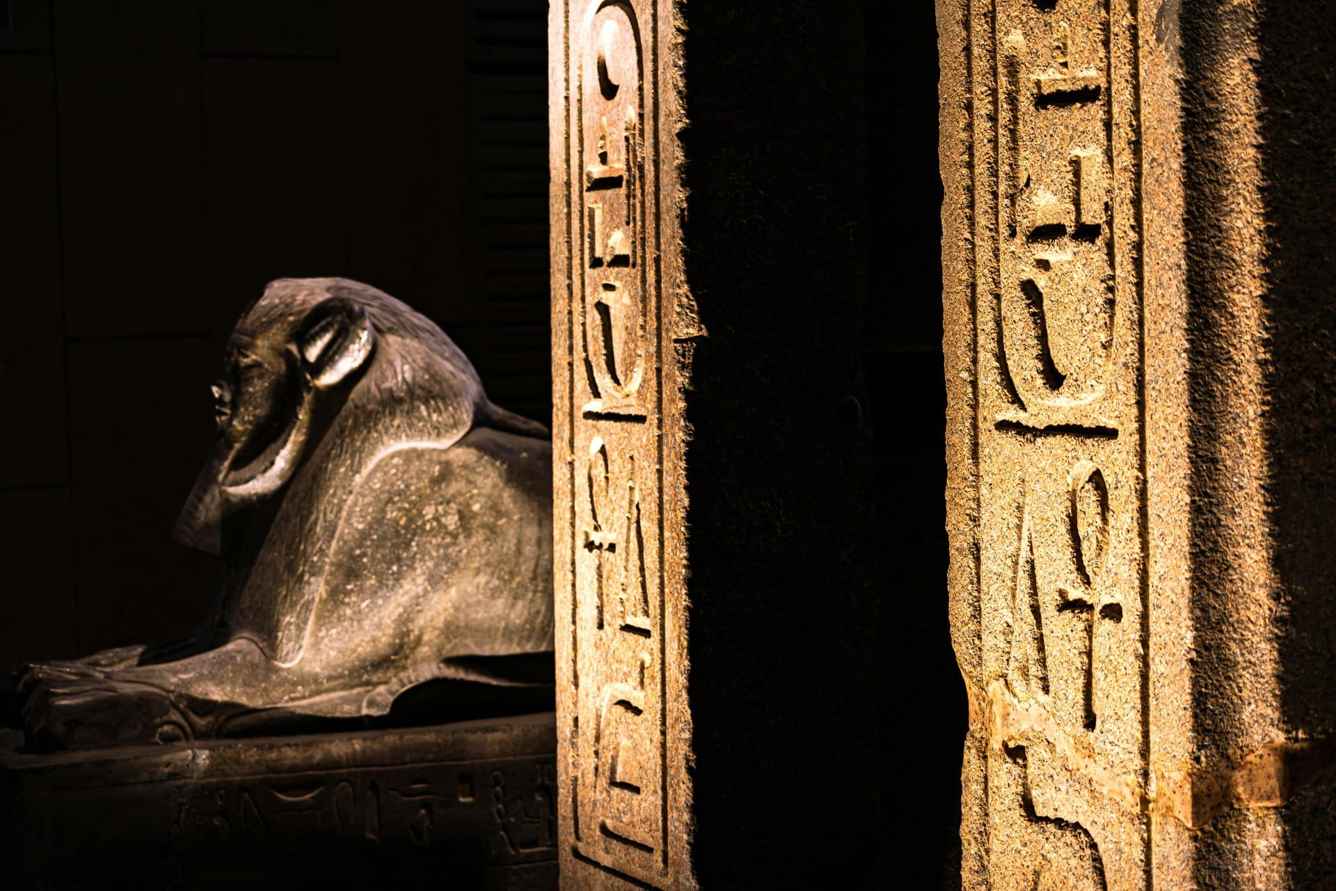 The Grand Egyptian Museum — view 5