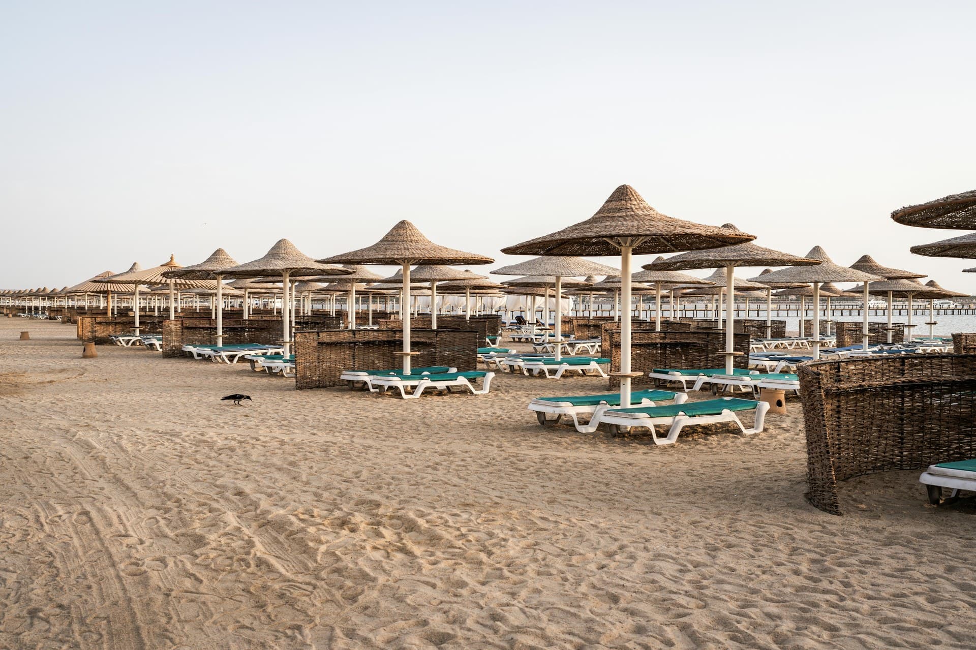 Marsa Alam — view 7