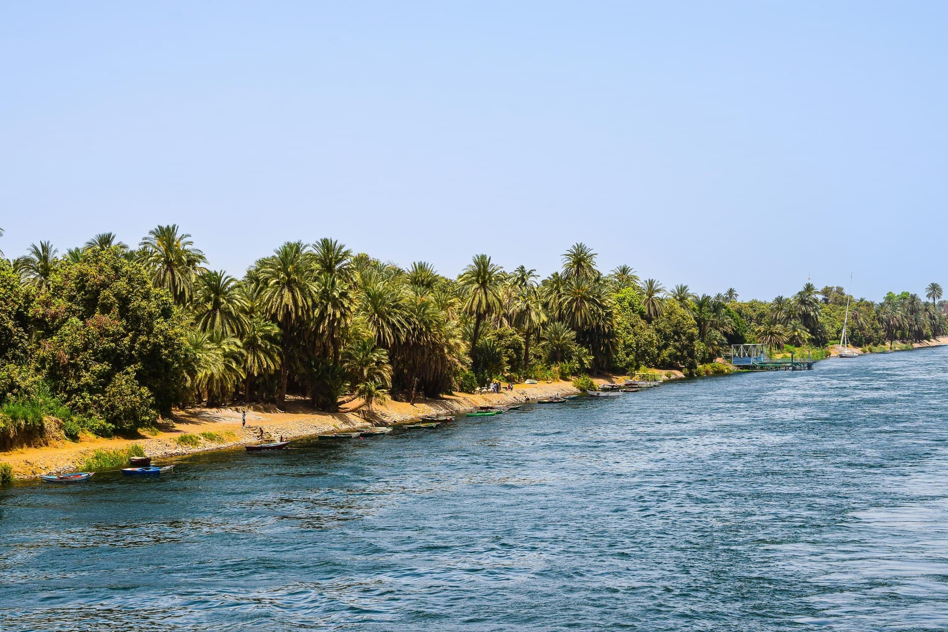 The Nile at dusk with palms along the bank and a felucca sail on the water