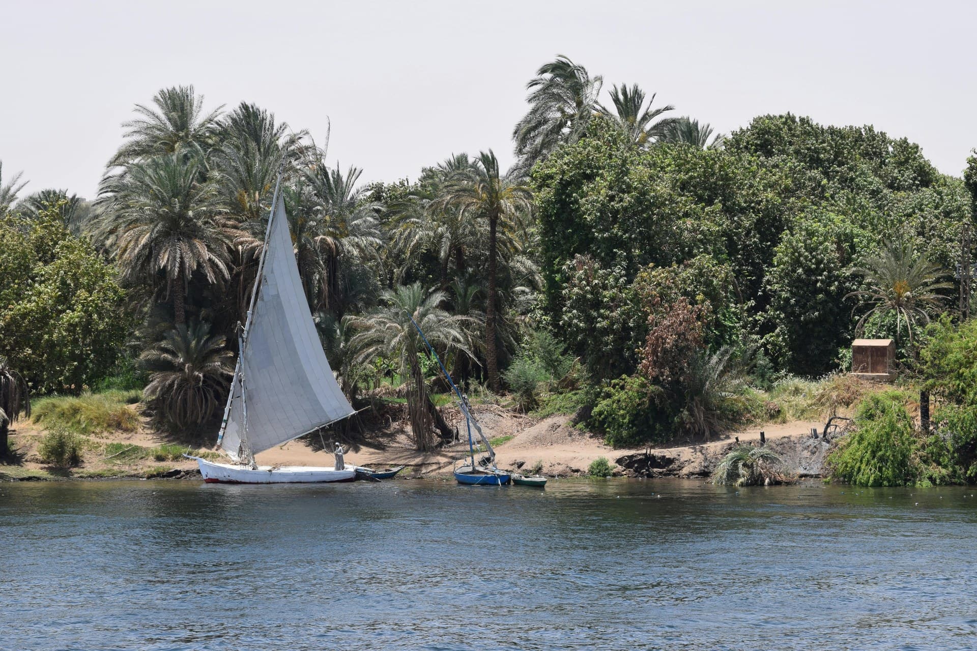 The Nile River — view 8