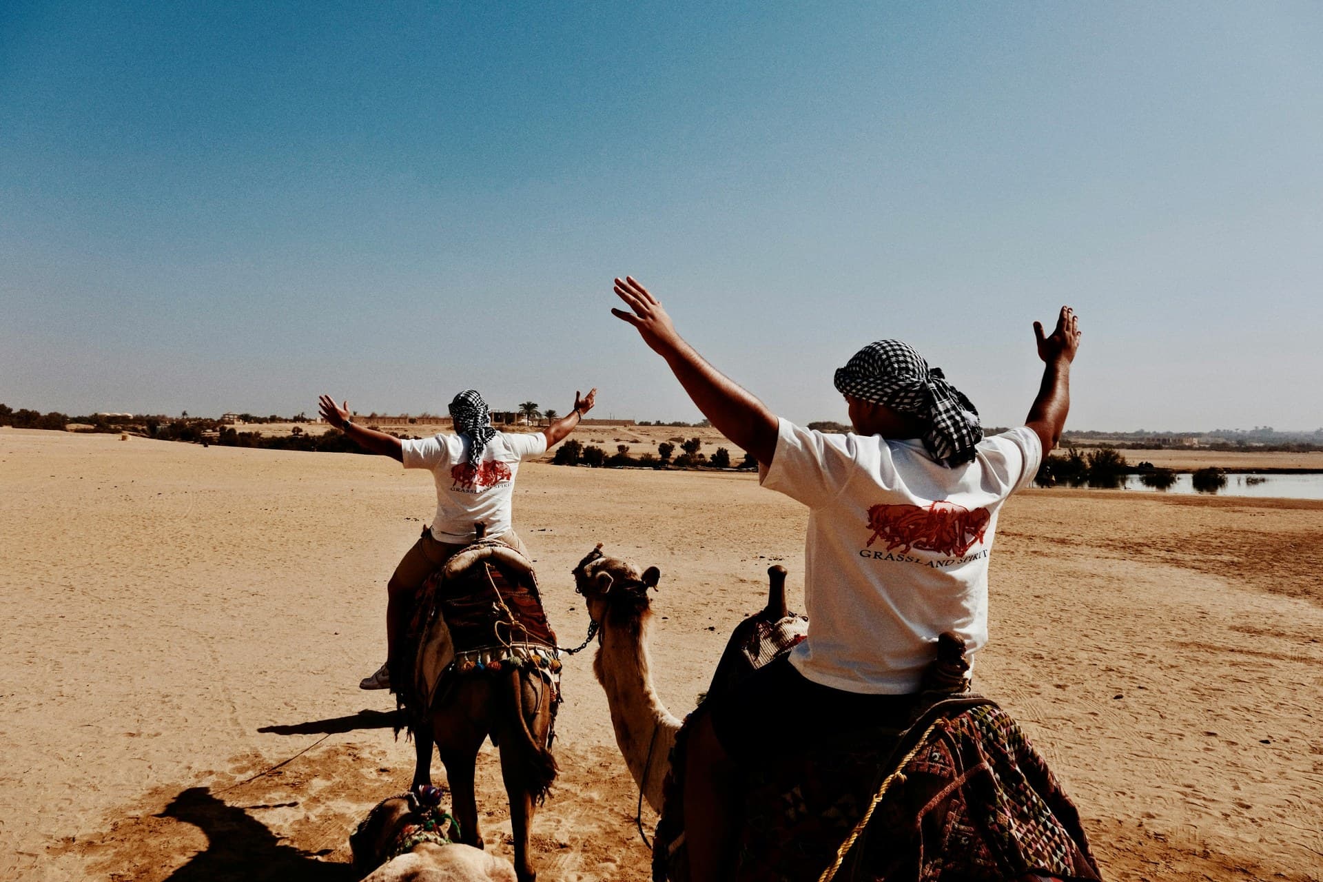 Siwa Oasis — view 4