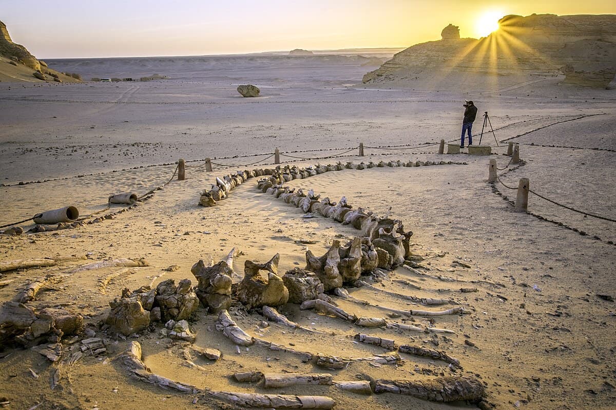 Wadi Al-Hitan — Whale Valley — view 2