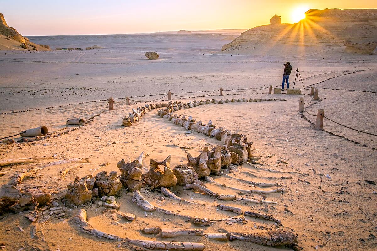 Wadi Al-Hitan — Whale Valley