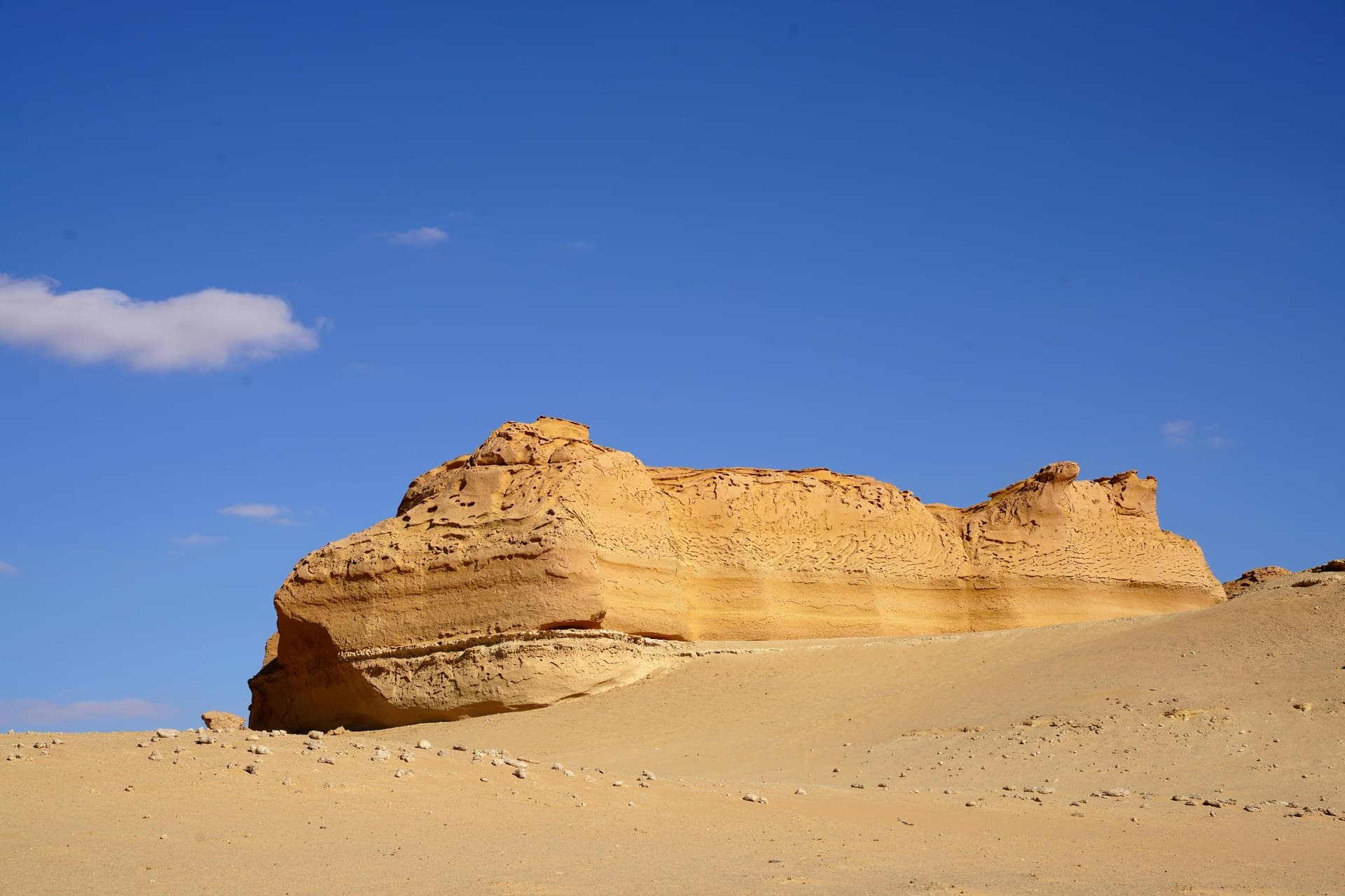 The White Desert — view 7