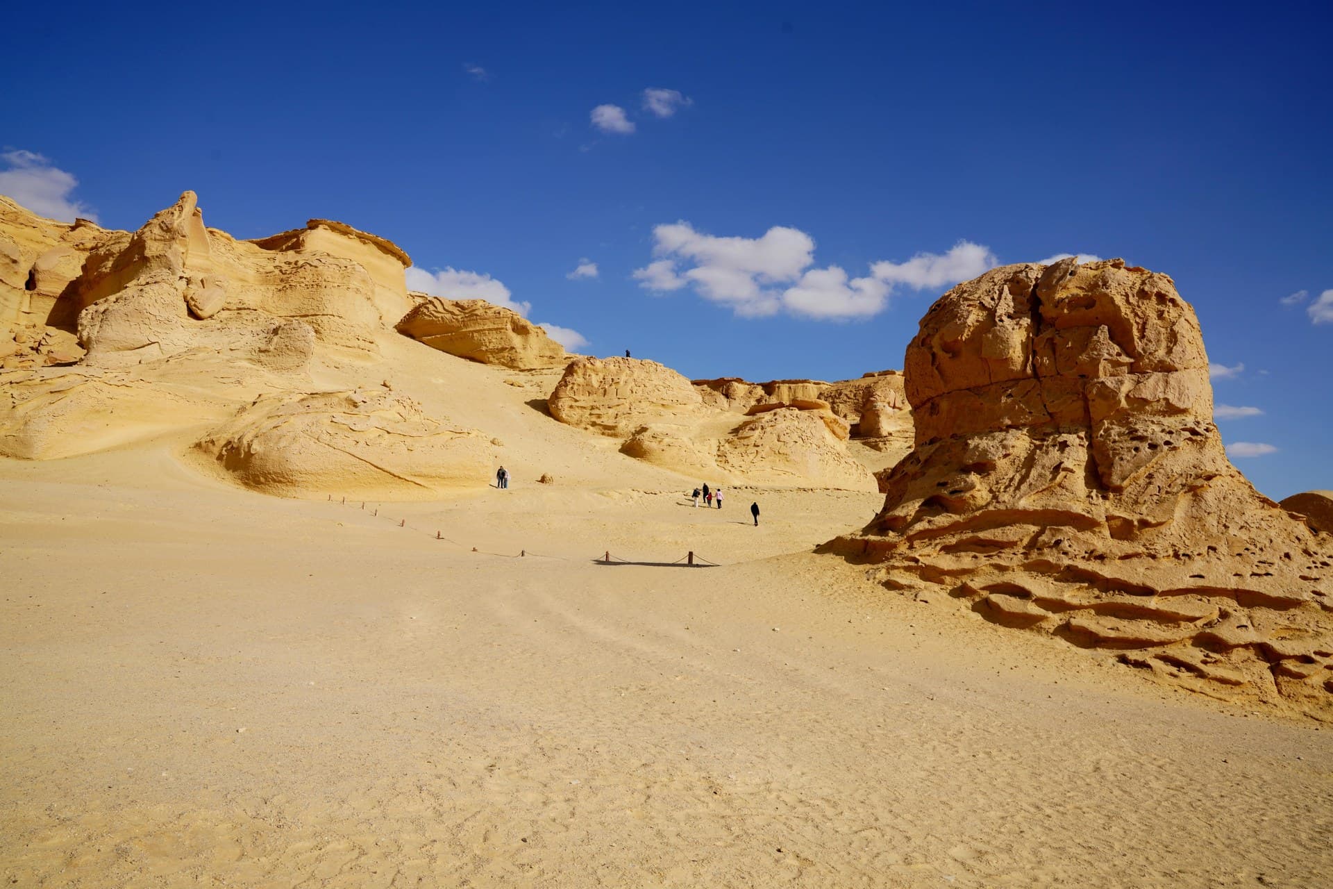 The White Desert — view 8