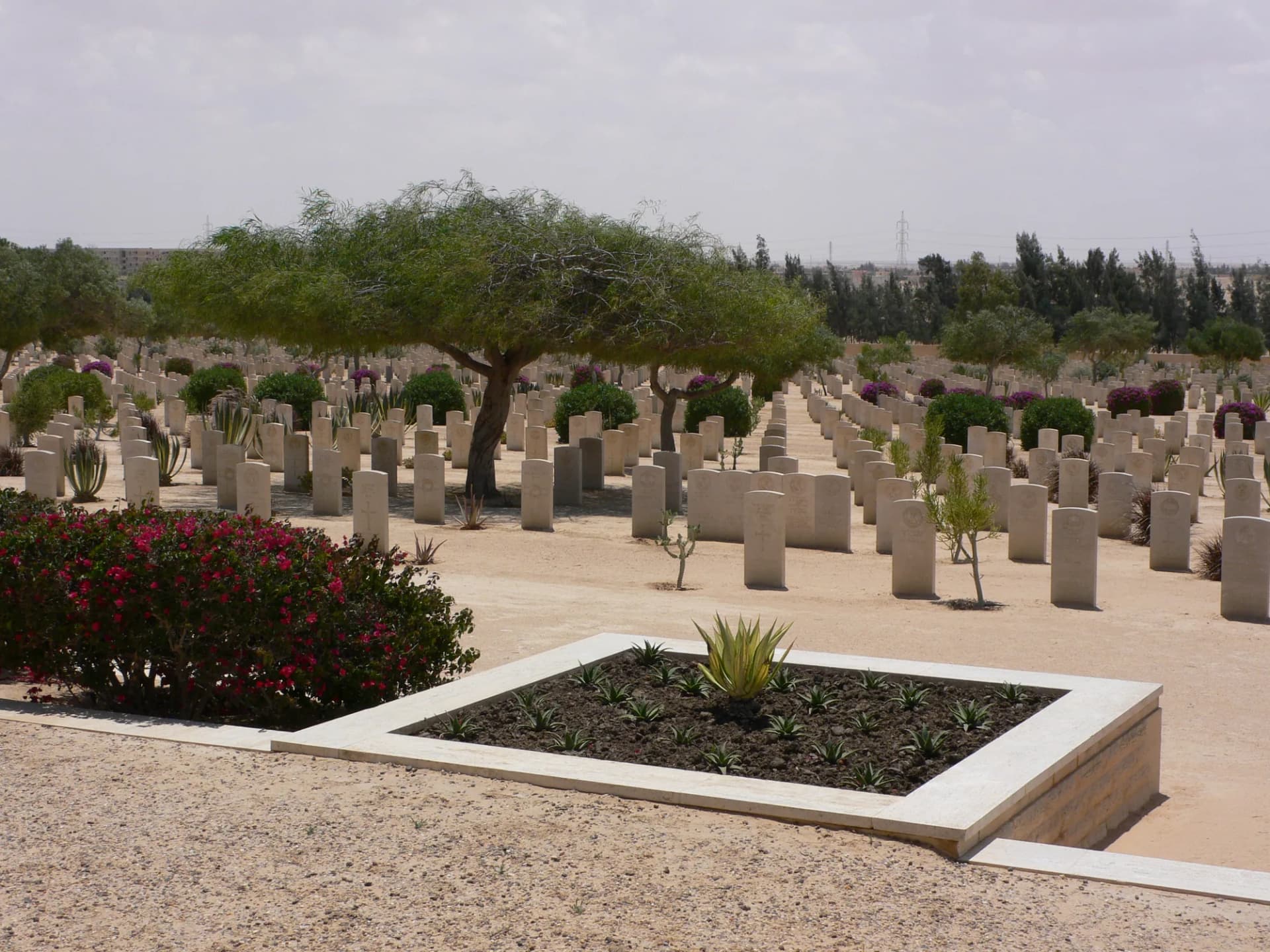 El Alamein Day Tour from Alexandria