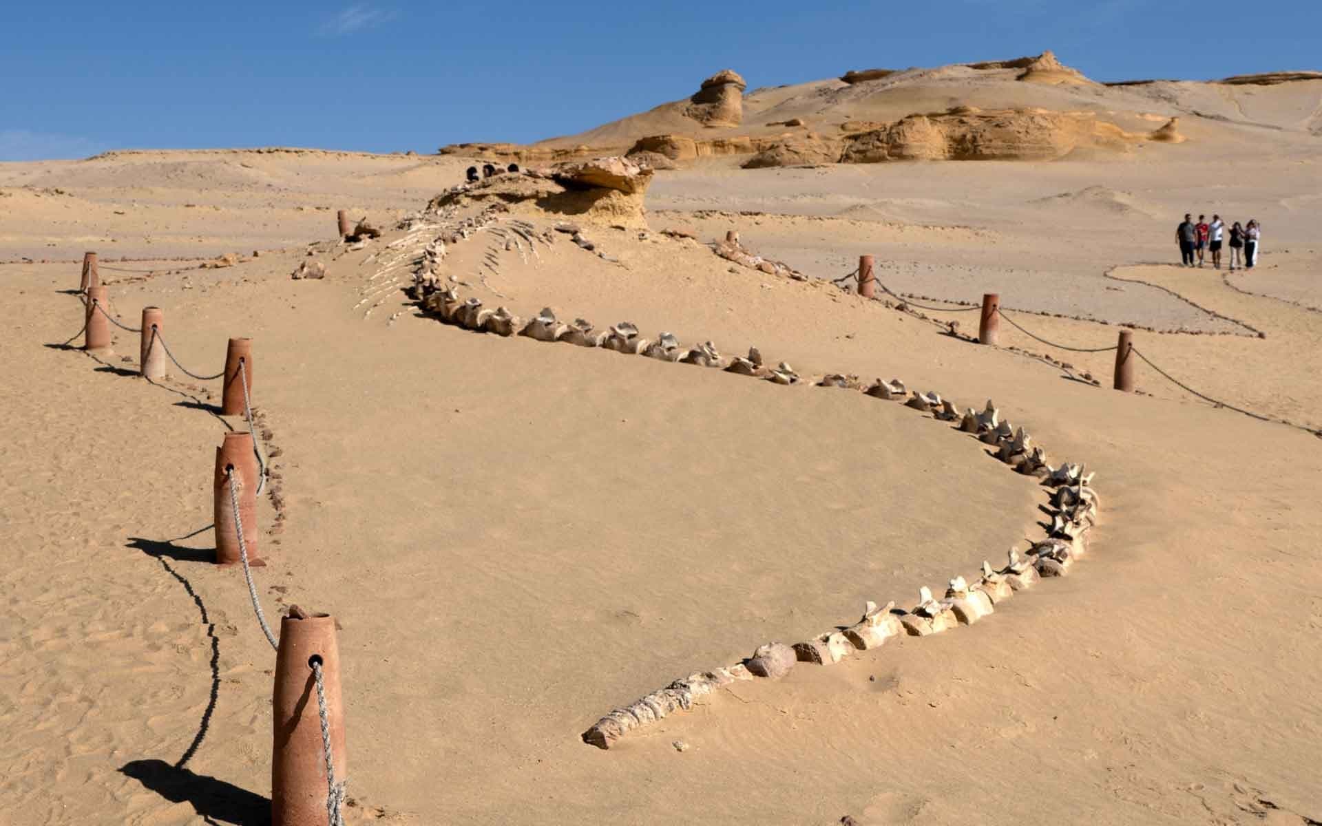 The Western Desert