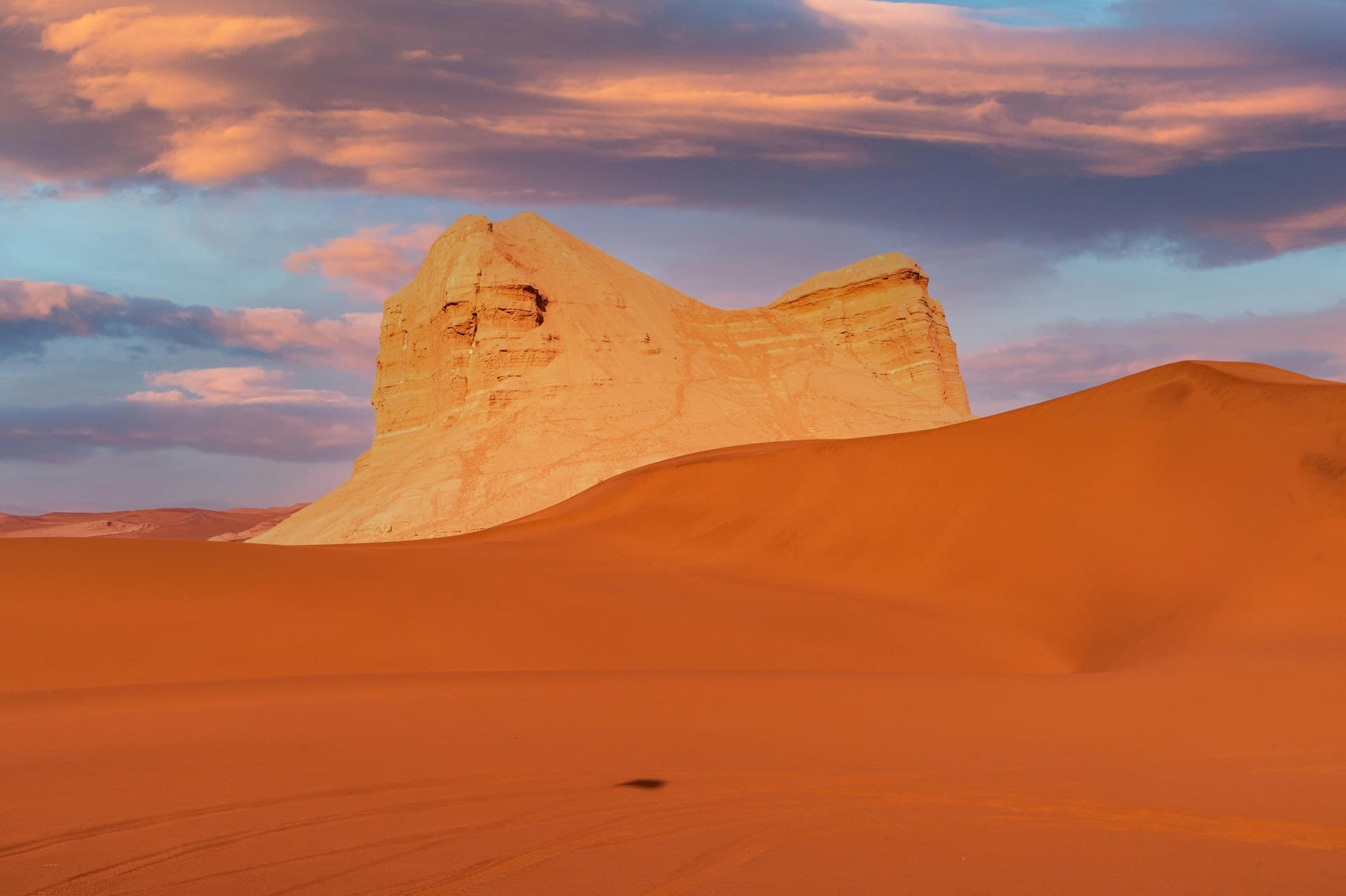 The Western Desert