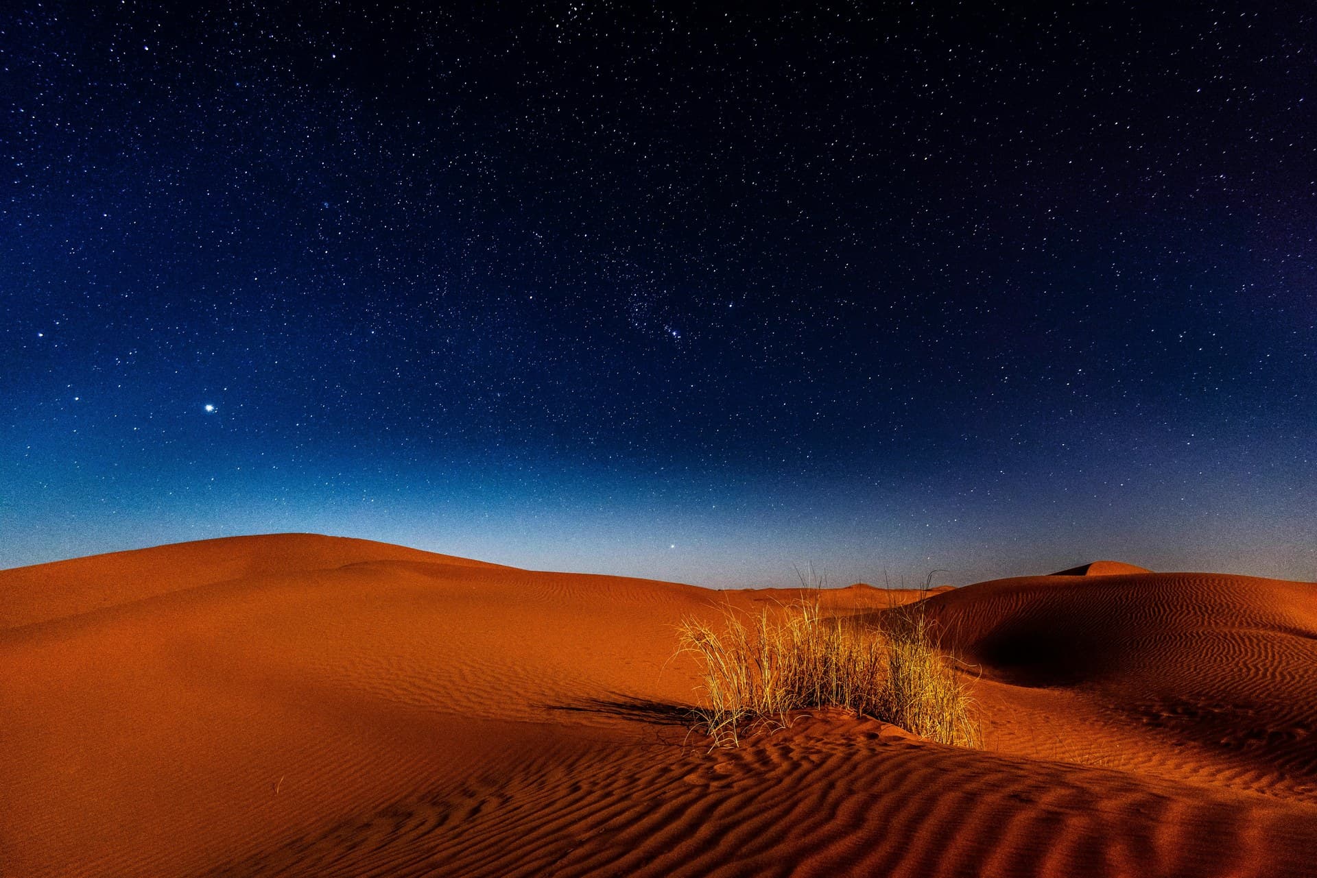 Late afternoon light over the Egyptian desert