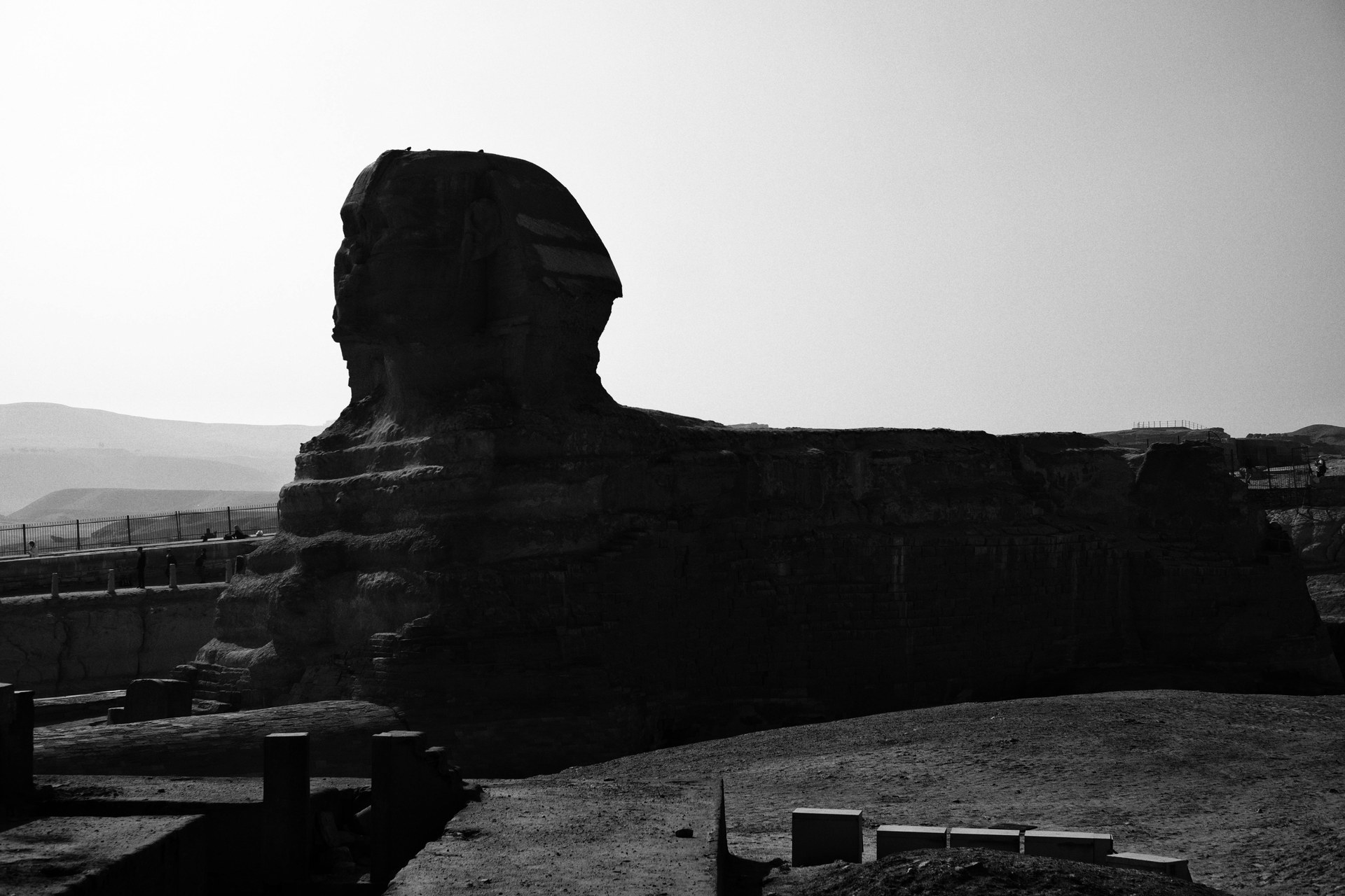 The Great Sphinx of Giza — view 5