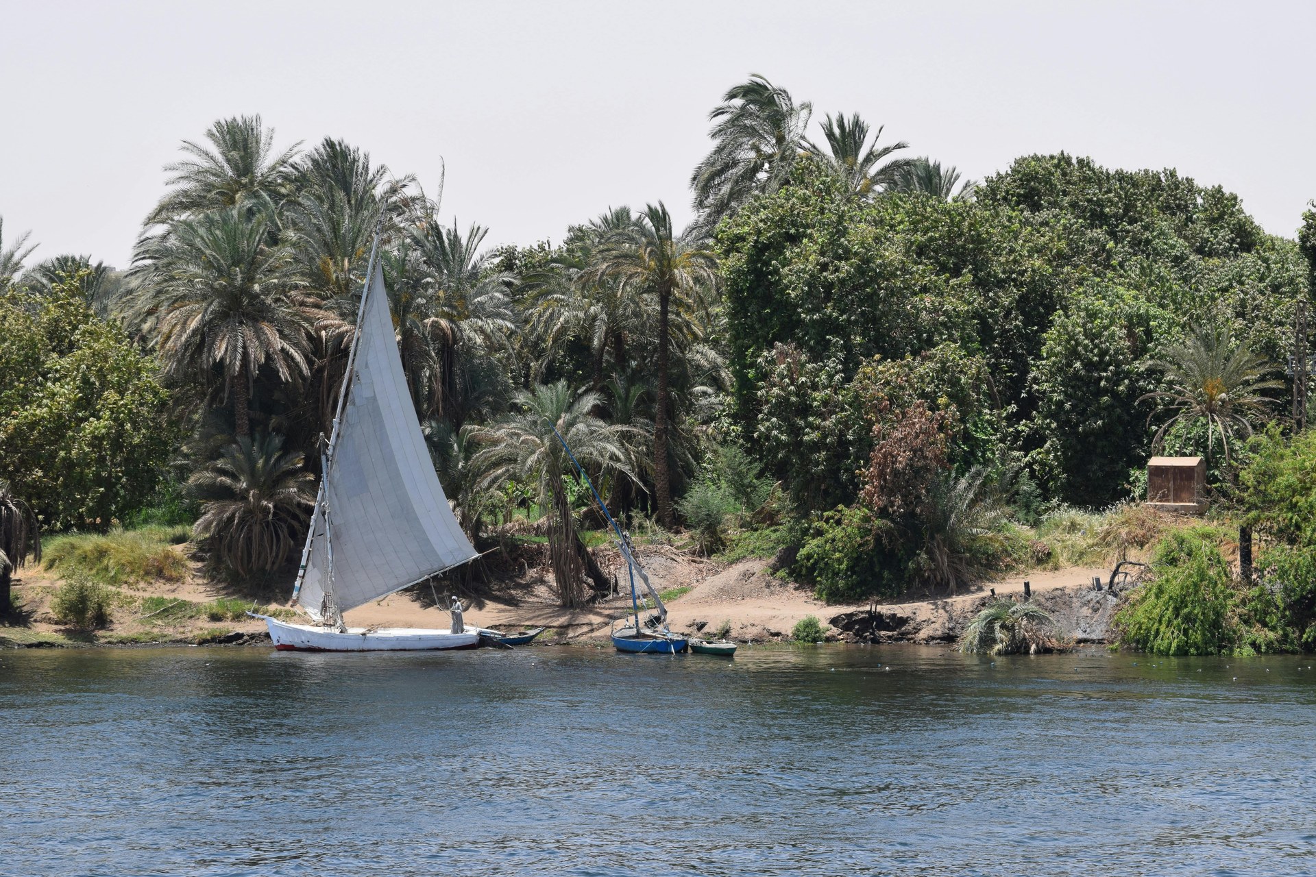 The Nile River — view 8