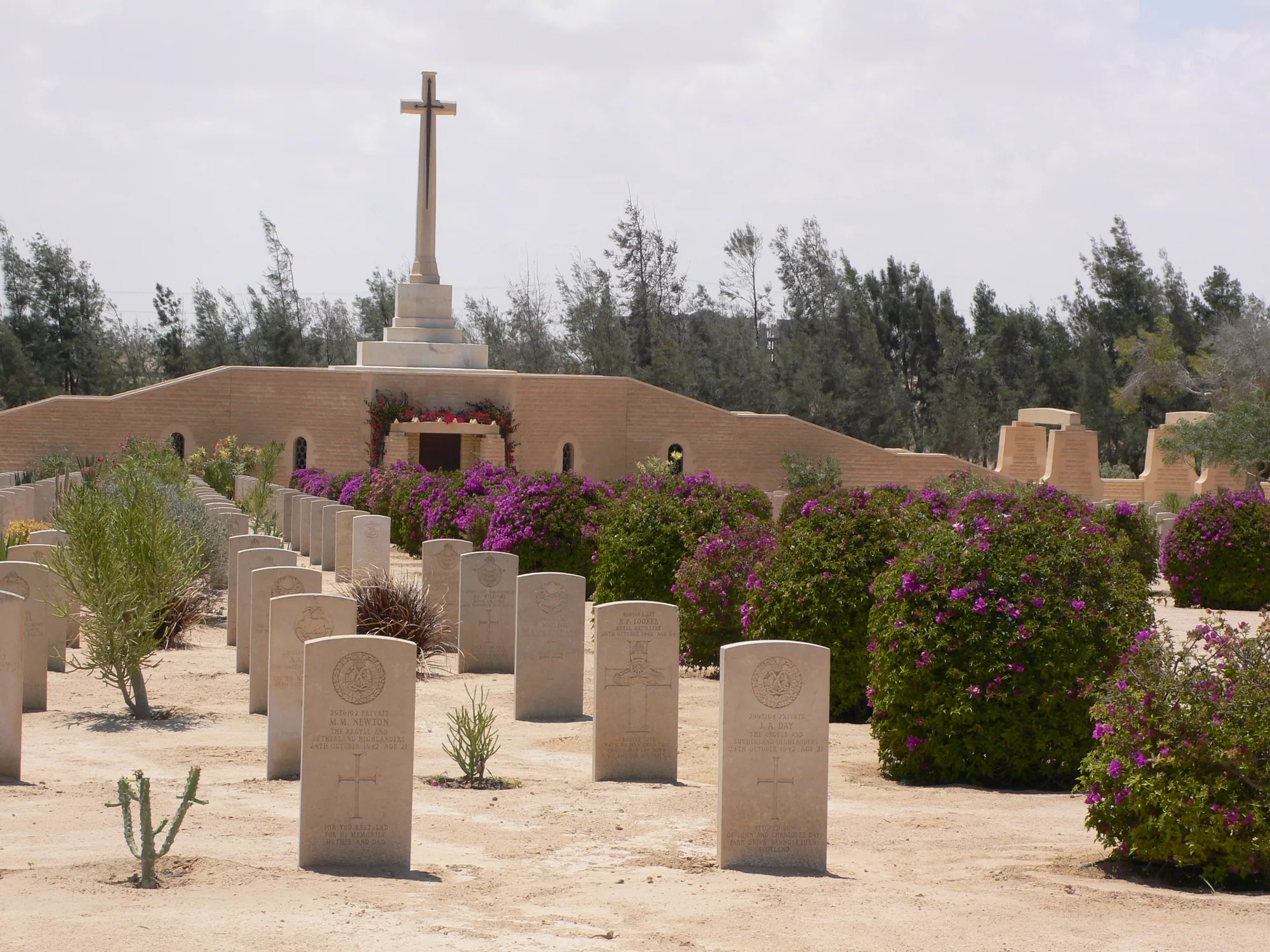 El Alamein Day Tour from Alexandria — 3