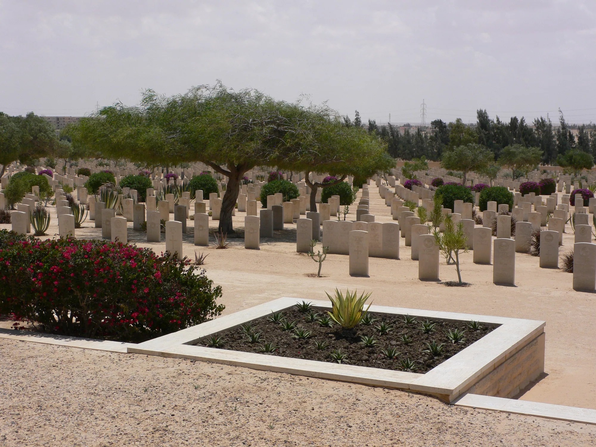 El Alamein Day Tour from Alexandria