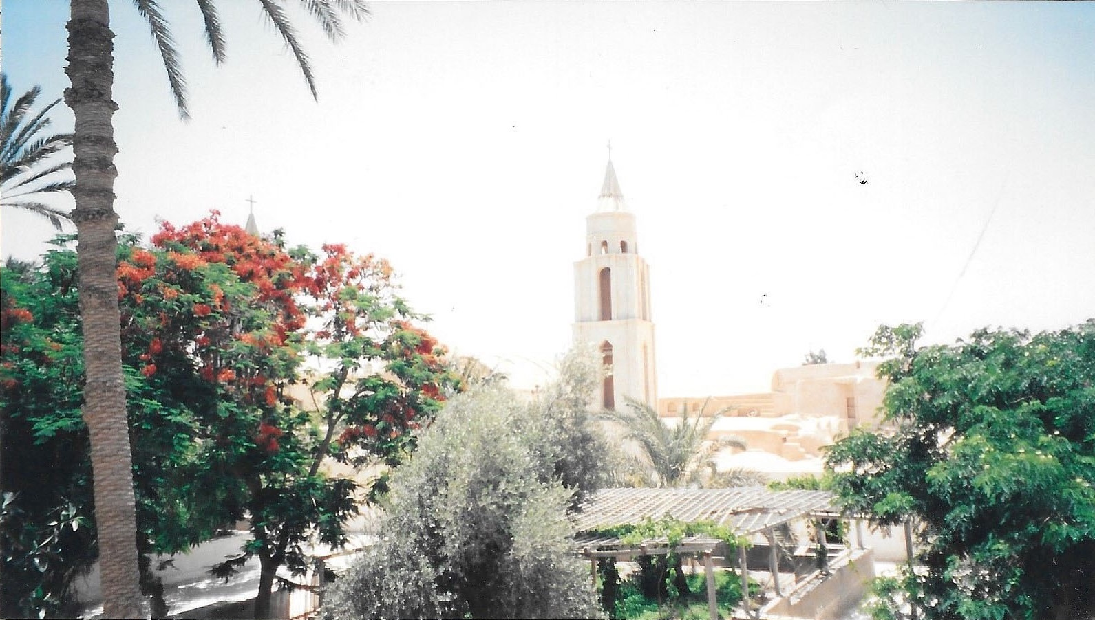 Wadi El Natrun Tour from Alexandria